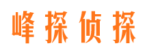 叙永侦探公司